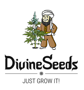 divine-seeds-logo-v.b-280x3005