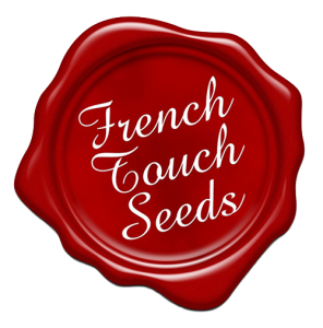 french-touch-500x5002