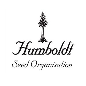 humboldt-seeds-amsterdam-seed-center31