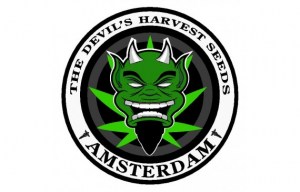 large-the-devils-harvest-seeds-logo95