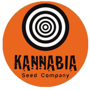 800x600-a2c9-kannabia-seeds-logo1