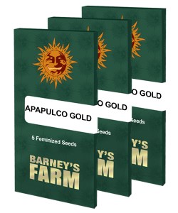 acapulco-gold_packet_large_seeds