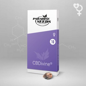 cbdivine-cbd-seeds_1