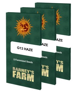 g13-haze_packet_large_seeds