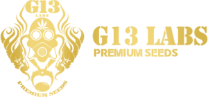 g13-logo-w384-o15