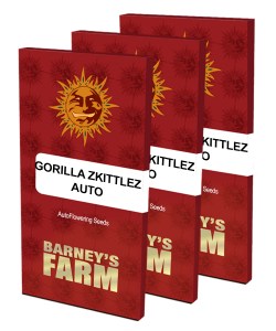 gorilla-zkittlez-auto_packet_large_seeds