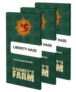 liberty-haze_packet_large_seeds