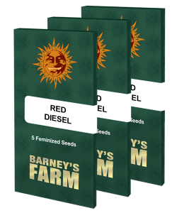red-diesel_packet_large_seeds