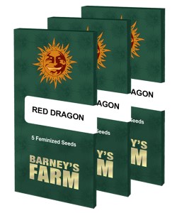 red-dragon_packet_large_seeds