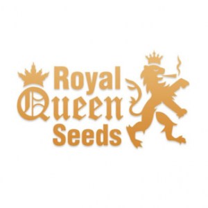 royal-queen-seeds-324x32419