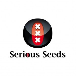 serious-seeds24
