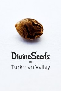 turkman-valley