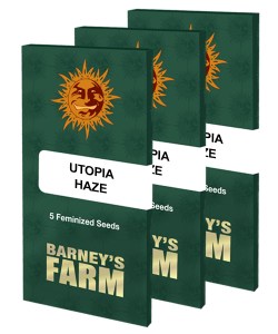 utopia-haze_packet_large_seeds