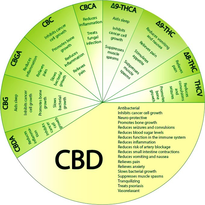 cbd lek