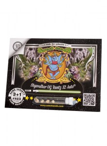 skywalker-og-runtz-xl-auto